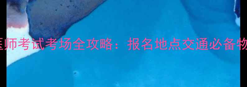图片 河南省公卫医师考试考场全攻略：报名地点交通必备物品一网打尽1