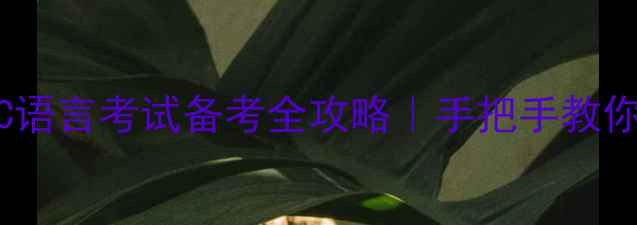 图片 💻📚二级C语言考试备考全攻略｜手把手教你拿高分！